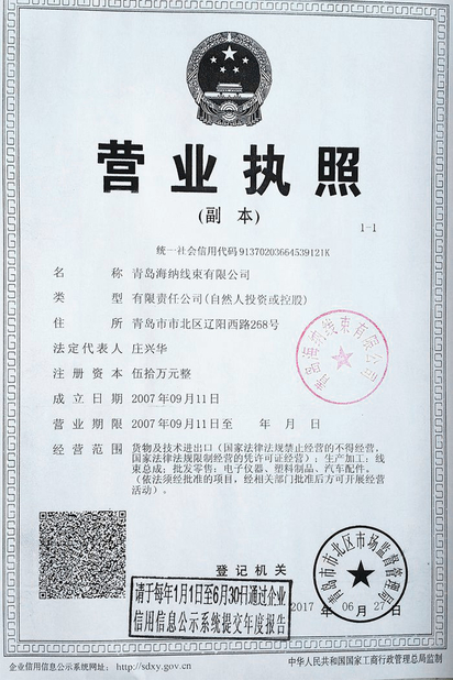 Trung Quốc Qingdao Hainr Wiring Harness Co., Ltd. Chứng chỉ